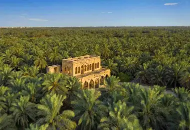 1-Day Al Ahsa Tour from Riyadh: What You Can Cover