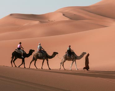 camel trekking riyadh thumbnail