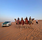 camel trekking riyadh