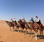 camel trekking riyadh