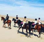 desert horse riding riyadh