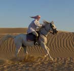 desert horse riding riyadh