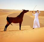 desert horse riding riyadh