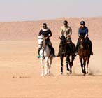 desert horse riding riyadh
