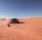 morning desert safari riyadh