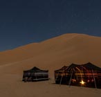 overnight desert safari riyadh